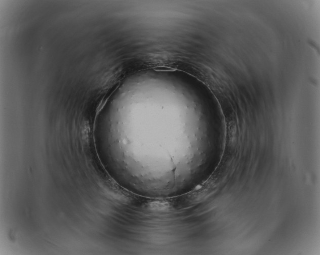 X0000091190279200708231515