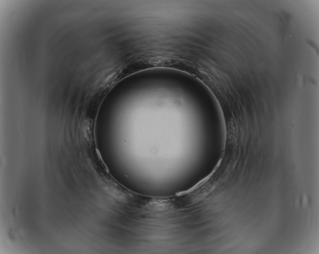 X0000091190280200708231515