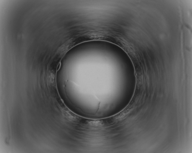 X0000091190281200708231515