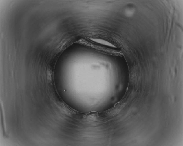 X0000091190282200708231515