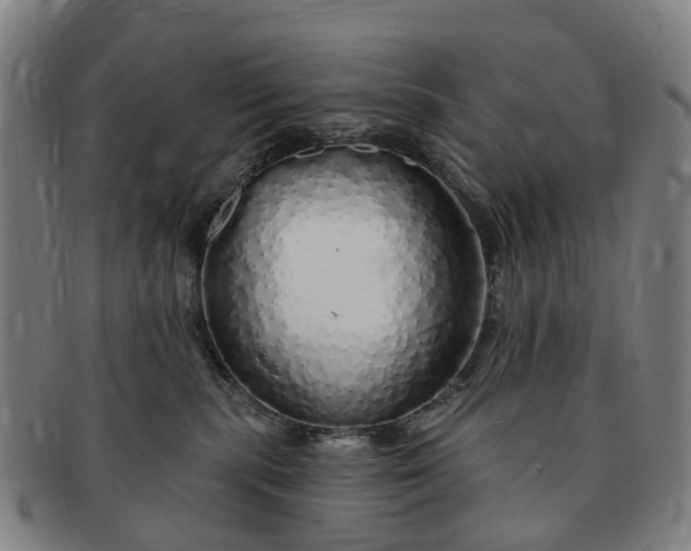 X0000091190283200708231515