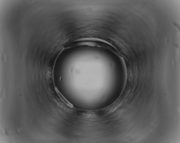 X0000091190284200708231515