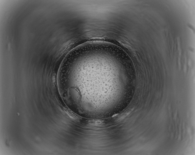 X0000091190288200708231515