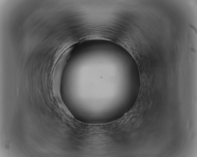 X0000091190289200708231514