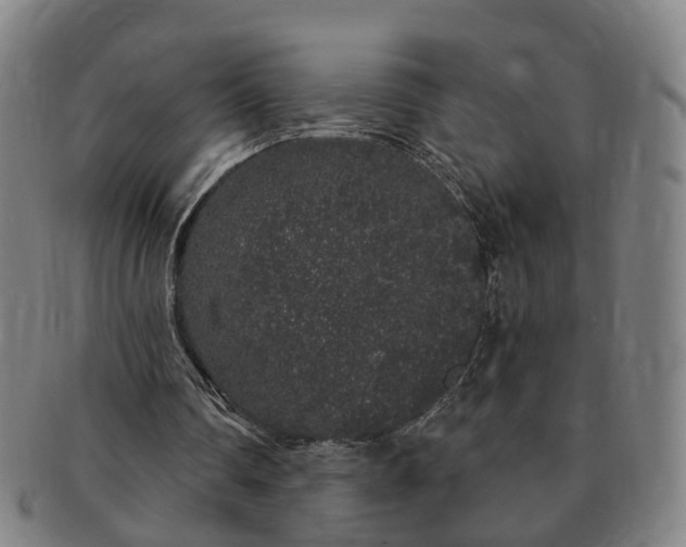 X0000091190290200708231514