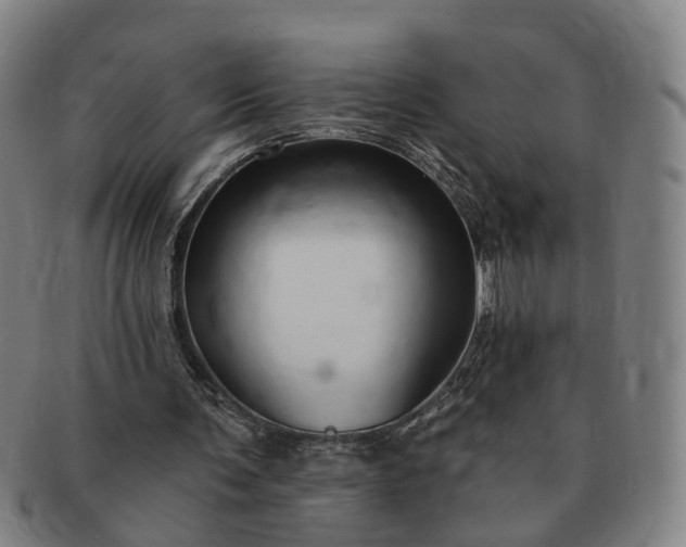 X0000091190291200708231514