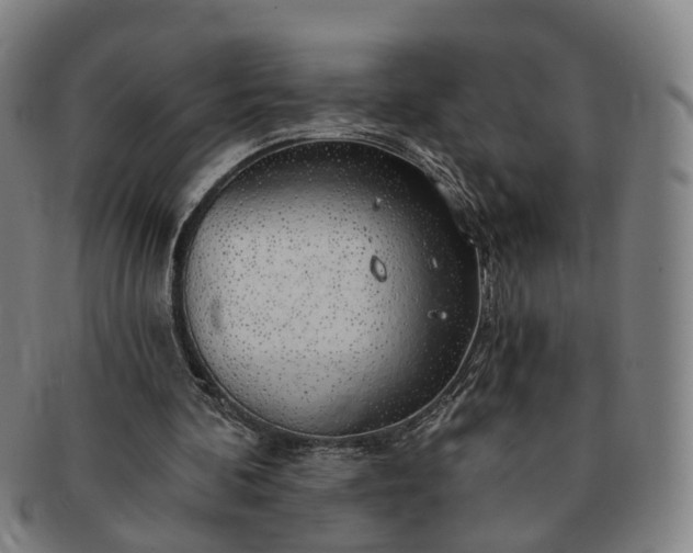 X0000091190292200708231514