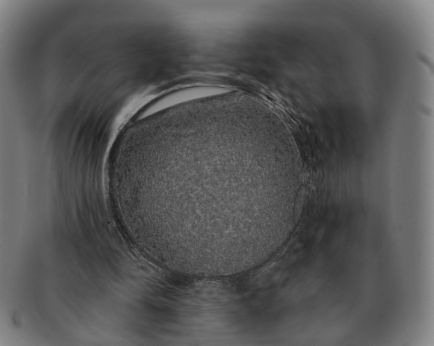 X0000091190294200708231514