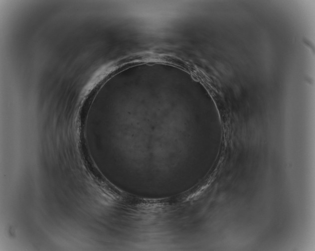 X0000091190295200708231514