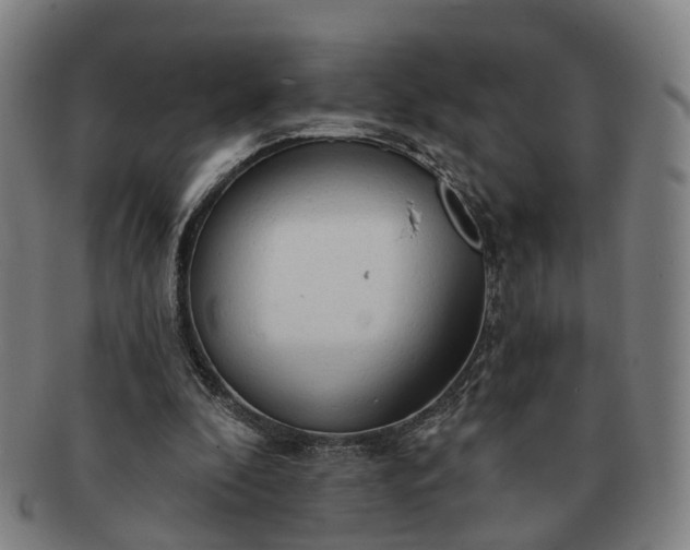 X0000091190296200708231514