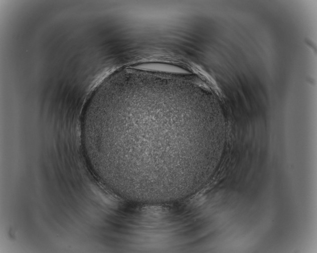 X0000091190298200708231514