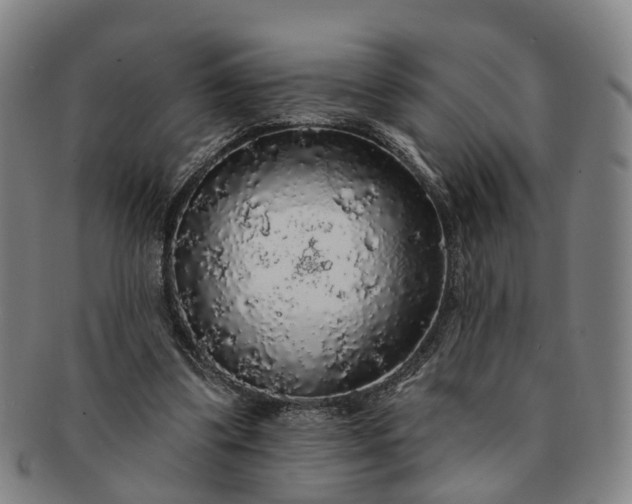 X0000091190299200708231514