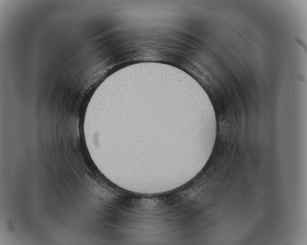 X0000091190302200708231514