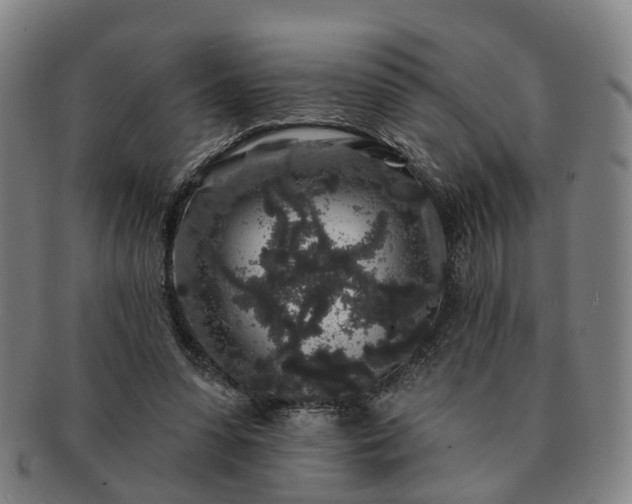 X0000091190303200708231514