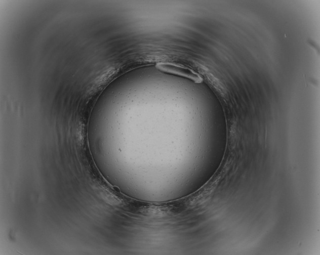 X0000091190305200708231514