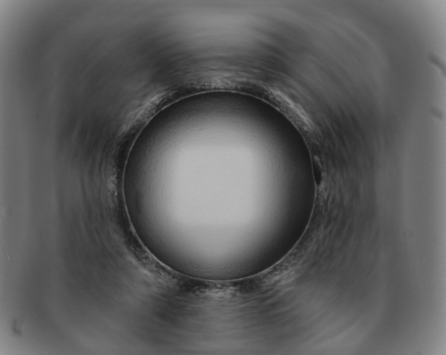 X0000091190306200708231514