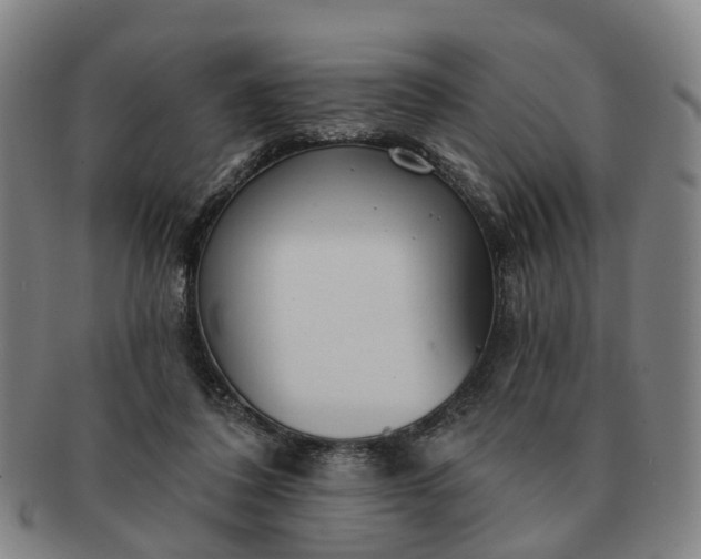 X0000091190308200708231514