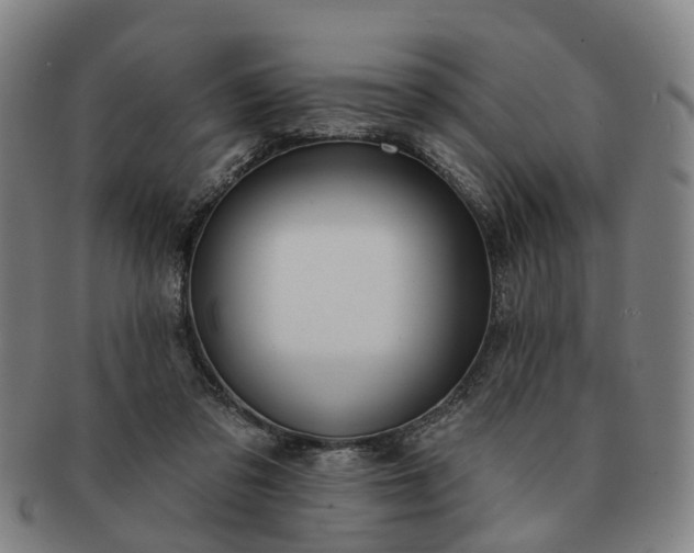 X0000091190309200708231514