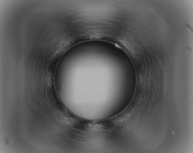 X0000091190311200708231514