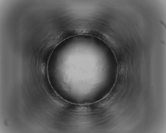 X0000091190315200708231514