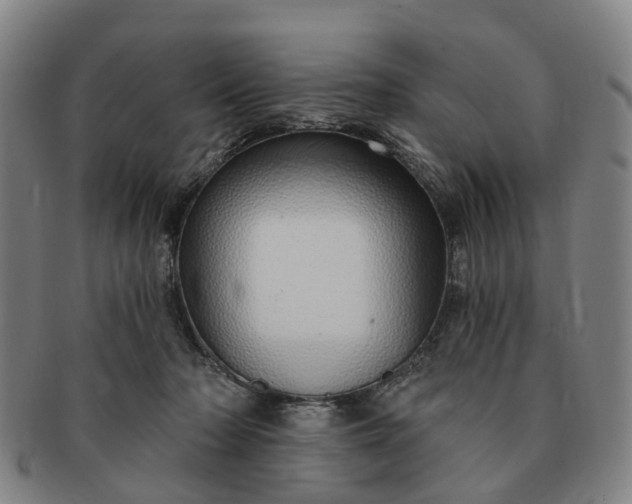 X0000091190318200708231514