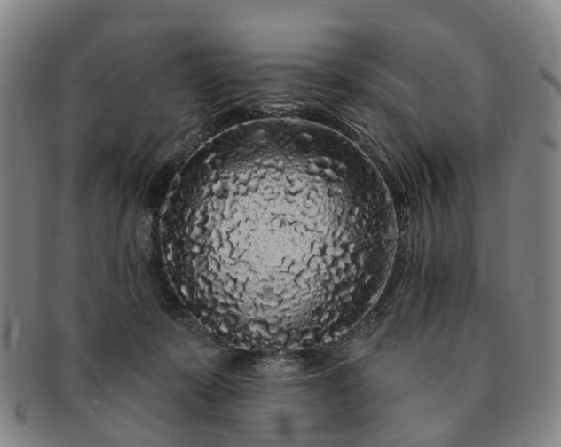 X0000091190319200708231514