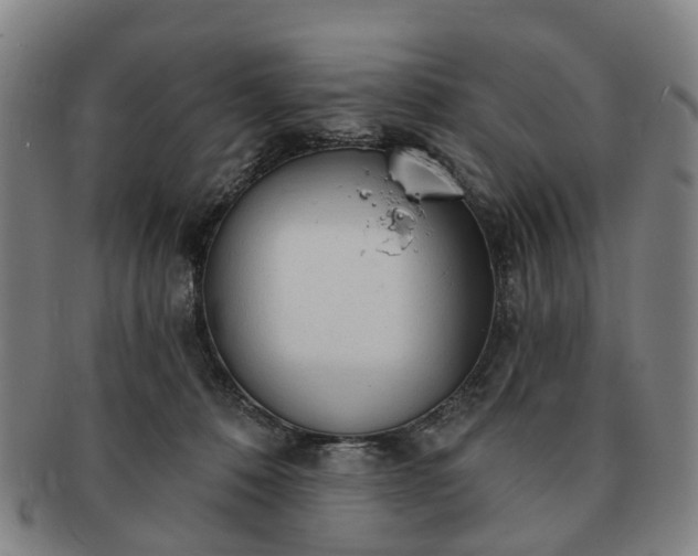 X0000091190320200708231514