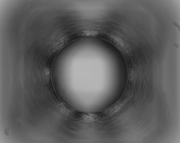 X0000091190321200708231514