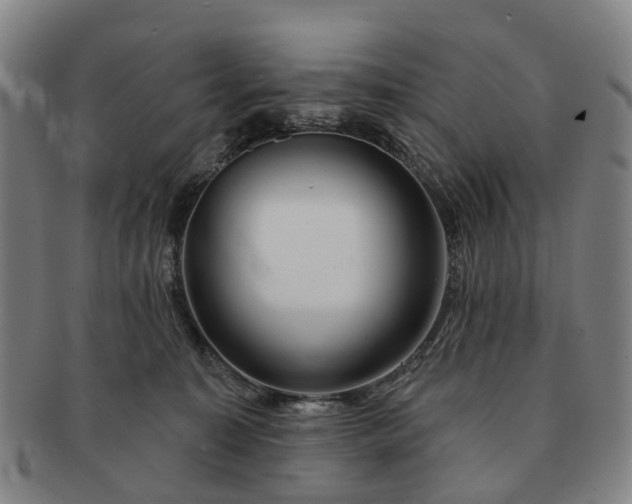 X0000091190323200708231514