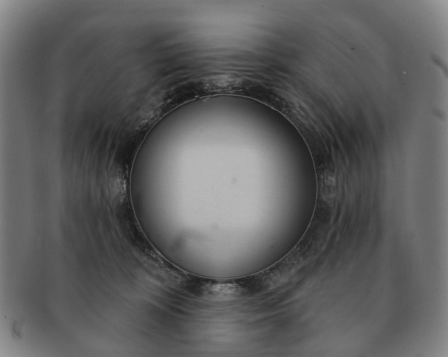 X0000091190324200708231514