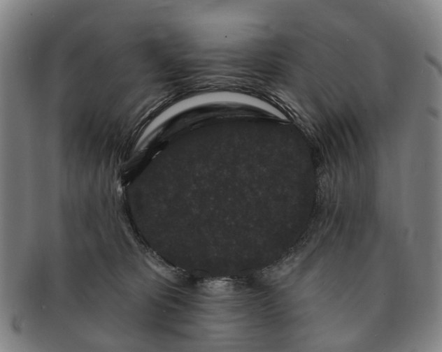 X0000091190325200708231514