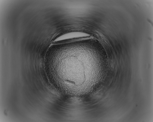 X0000091190326200708231514