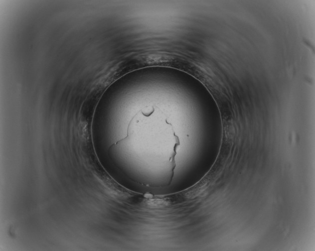 X0000091190327200708231514