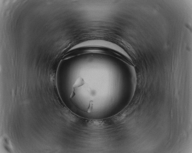 X0000091190329200708231514