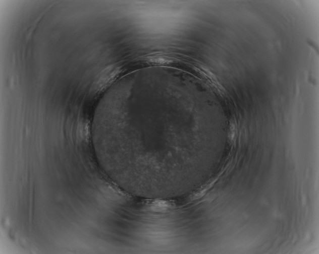 X0000091190330200708231514