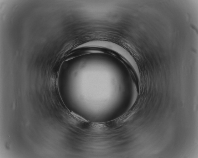 X0000091190333200708231514