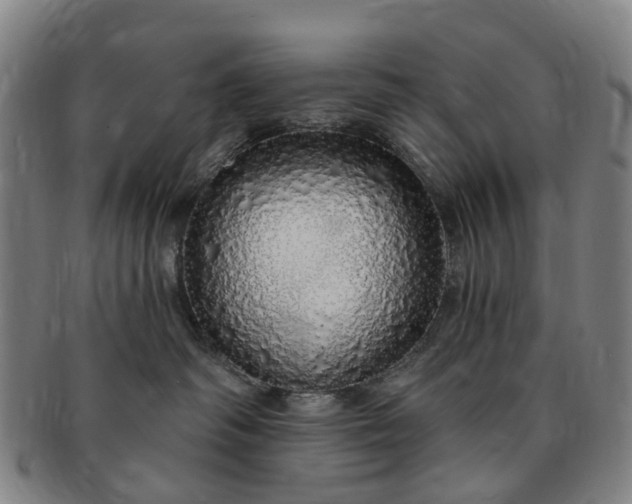 X0000091190334200708231514