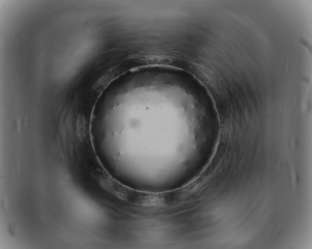 X0000091190335200708231514