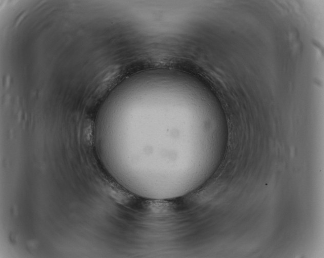 X0000091190336200708231514