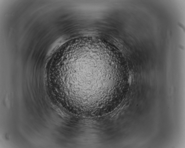 X0000091190339200708231513