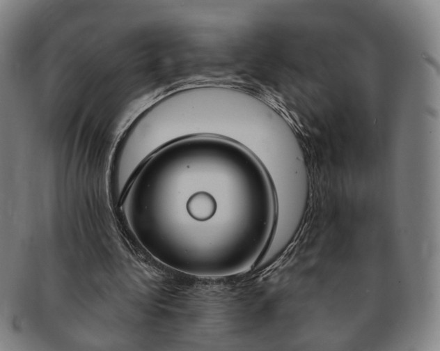 X0000091190340200708231513