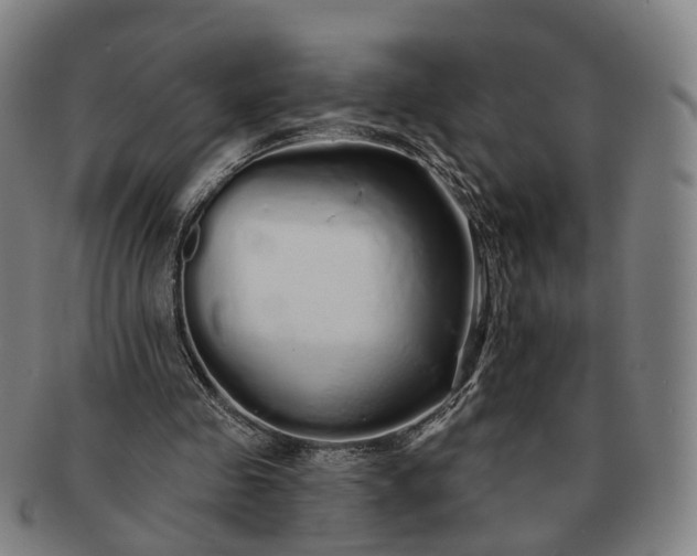 X0000091190341200708231513