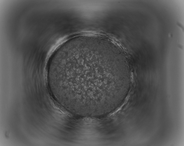 X0000091190343200708231513