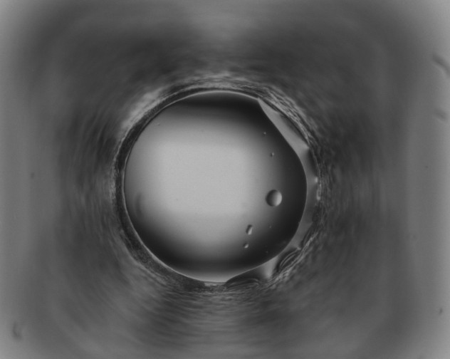 X0000091190344200708231513