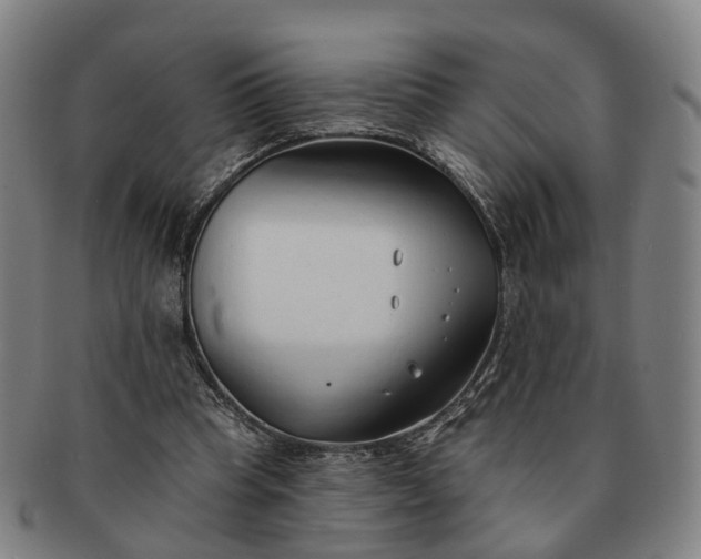 X0000091190345200708231513