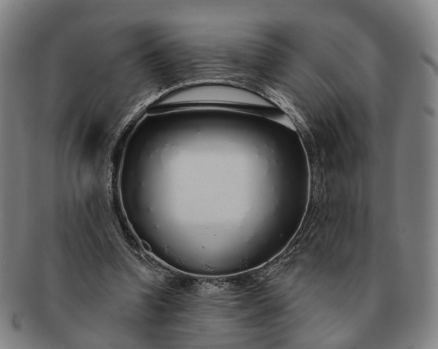 X0000091190346200708231513