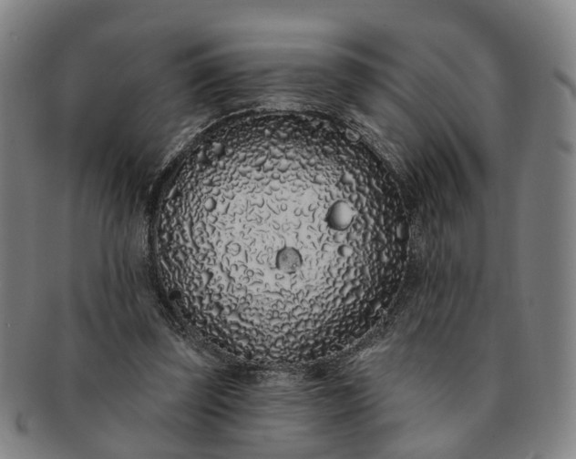 X0000091190347200708231513