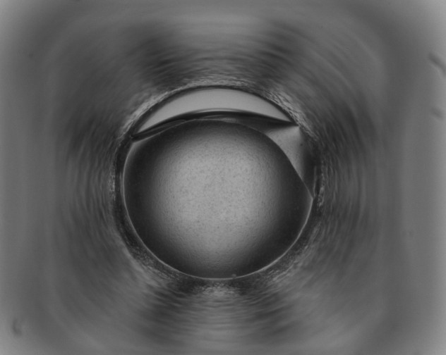 X0000091190348200708231513