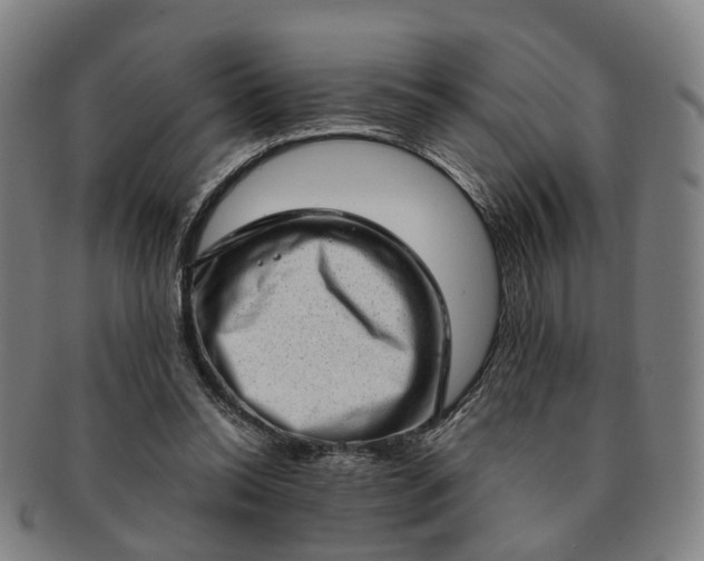 X0000091190350200708231513