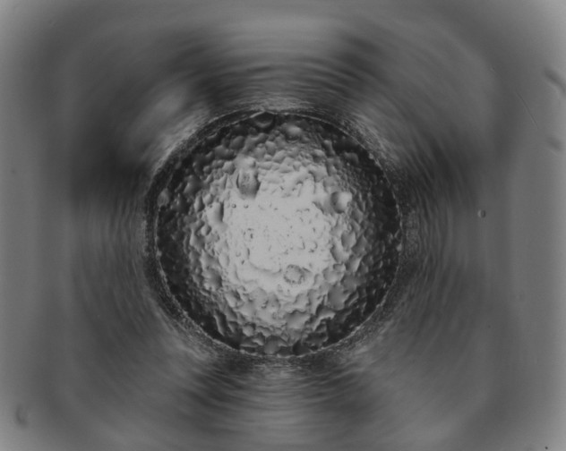 X0000091190351200708231513